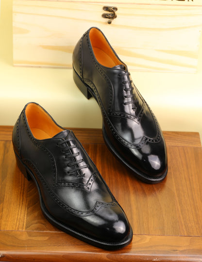 Fernando – U-Throat Wingtip Adelaide Oxford