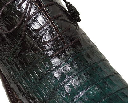 Mezlan Crocodile Lace-Up Shoes # 50236
