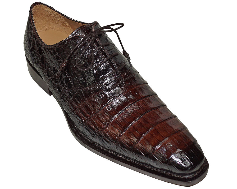 Mezlan Crocodile Lace-Up Shoes # 50236