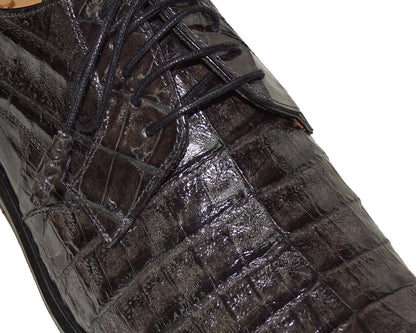 Mezlan Crocodile Lace-Up Shoes # 50240