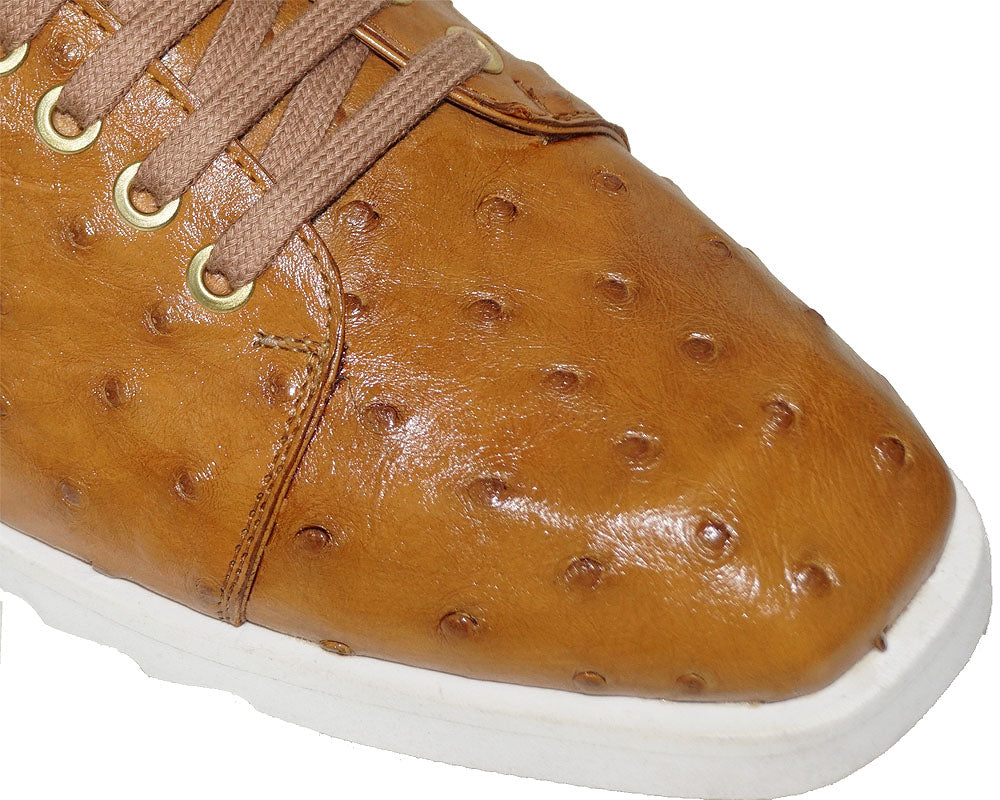 Mezlan Ostrich Sneaker # 50163